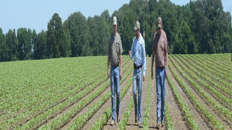 Improving Agriculture in Kindersley, SK