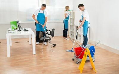 Transform Your Space with Professional House Cleaning Services in Thornton, CO