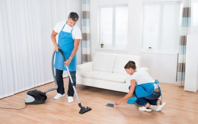 The Smart Choice: House Cleaning Services in Holland, MI