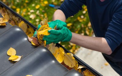 Professional Gutter Contractor in Lima, OH: Affordable and Durable Solutions to Keep Your Home’s Exterior Safe